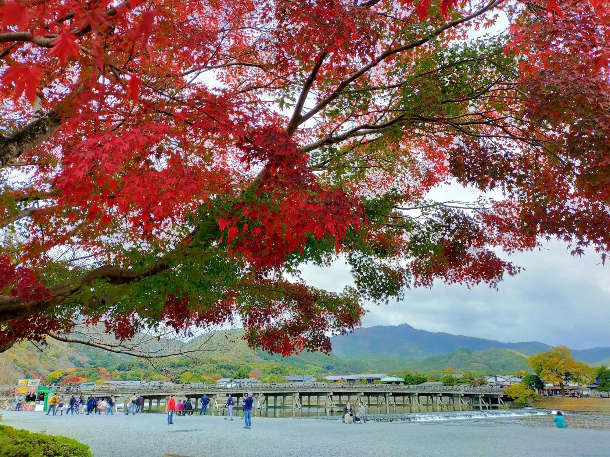 Kadensho, Arashiyama Onsen, Kyoto - Kyoritsu Resort Kültér fotó
